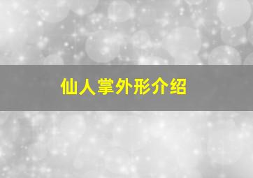 仙人掌外形介绍