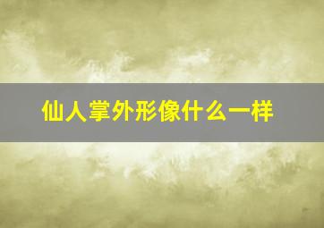 仙人掌外形像什么一样