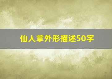 仙人掌外形描述50字