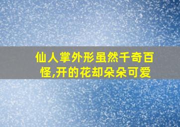 仙人掌外形虽然千奇百怪,开的花却朵朵可爱