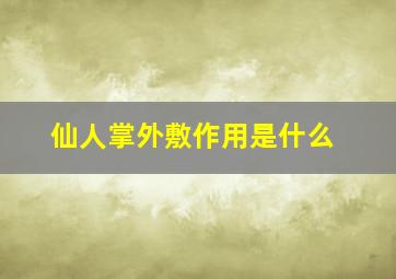 仙人掌外敷作用是什么