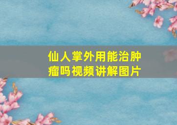 仙人掌外用能治肿瘤吗视频讲解图片