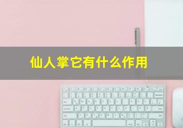 仙人掌它有什么作用