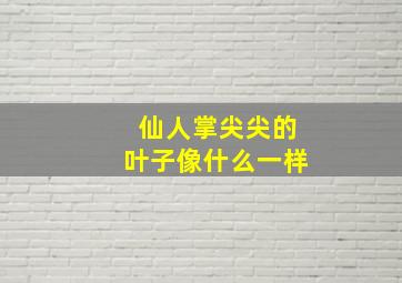 仙人掌尖尖的叶子像什么一样