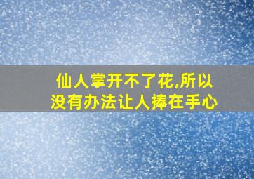 仙人掌开不了花,所以没有办法让人捧在手心