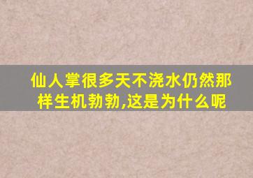 仙人掌很多天不浇水仍然那样生机勃勃,这是为什么呢