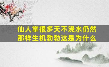 仙人掌很多天不浇水仍然那样生机勃勃这是为什么