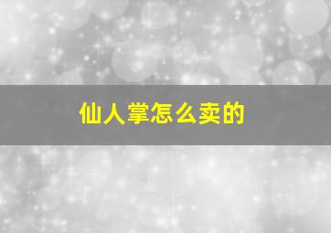 仙人掌怎么卖的