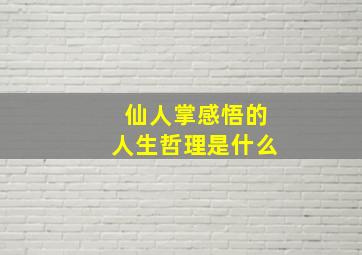 仙人掌感悟的人生哲理是什么