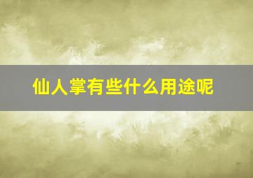 仙人掌有些什么用途呢