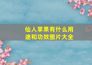 仙人掌果有什么用途和功效图片大全