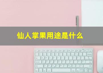 仙人掌果用途是什么