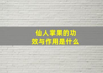 仙人掌果的功效与作用是什么