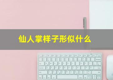 仙人掌样子形似什么