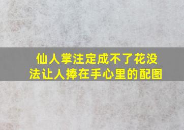 仙人掌注定成不了花没法让人捧在手心里的配图