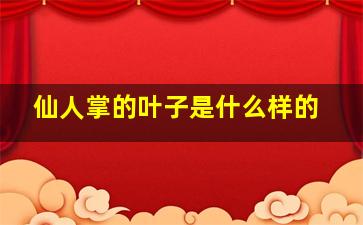 仙人掌的叶子是什么样的