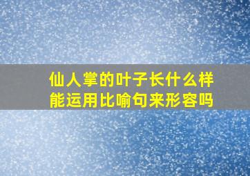 仙人掌的叶子长什么样能运用比喻句来形容吗