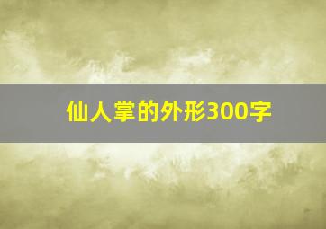 仙人掌的外形300字