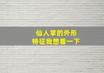 仙人掌的外形特征我想看一下