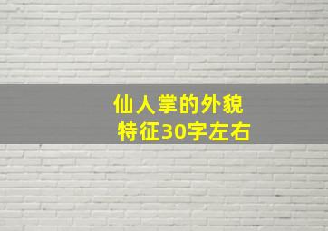 仙人掌的外貌特征30字左右