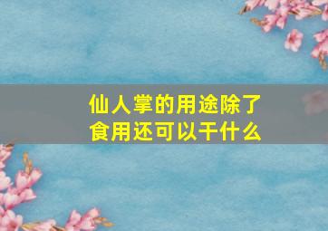 仙人掌的用途除了食用还可以干什么