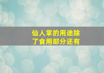 仙人掌的用途除了食用部分还有