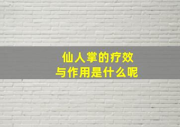 仙人掌的疗效与作用是什么呢