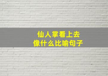 仙人掌看上去像什么比喻句子