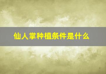 仙人掌种植条件是什么