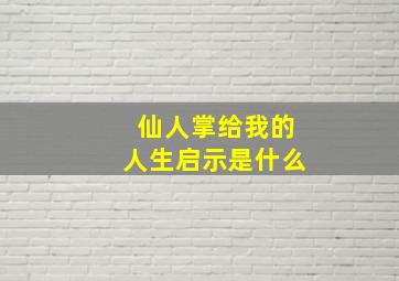 仙人掌给我的人生启示是什么