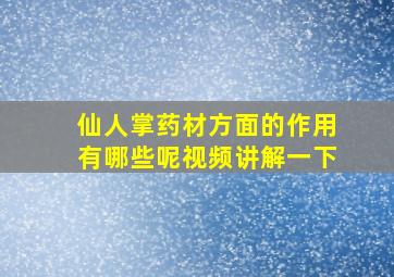 仙人掌药材方面的作用有哪些呢视频讲解一下