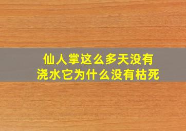 仙人掌这么多天没有浇水它为什么没有枯死