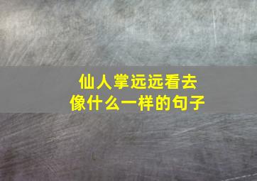 仙人掌远远看去像什么一样的句子