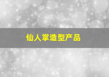 仙人掌造型产品