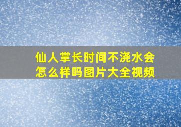 仙人掌长时间不浇水会怎么样吗图片大全视频