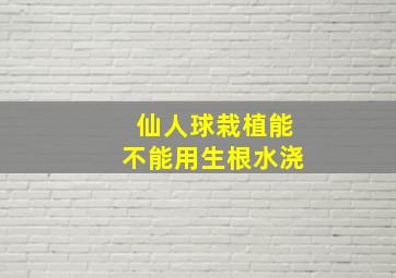 仙人球栽植能不能用生根水浇