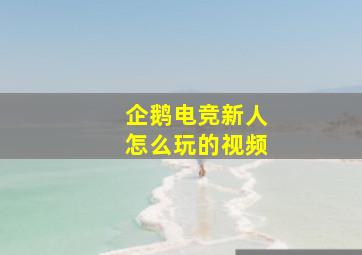 企鹅电竞新人怎么玩的视频