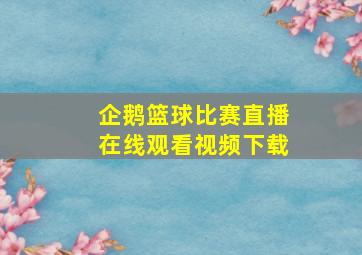 企鹅篮球比赛直播在线观看视频下载