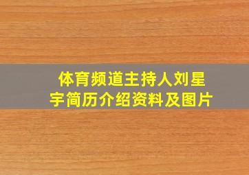 体育频道主持人刘星宇简历介绍资料及图片