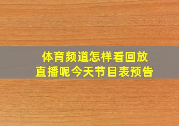 体育频道怎样看回放直播呢今天节目表预告