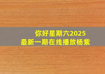 你好星期六2025最新一期在线播放杨紫