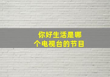 你好生活是哪个电视台的节目