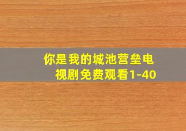 你是我的城池营垒电视剧免费观看1-40