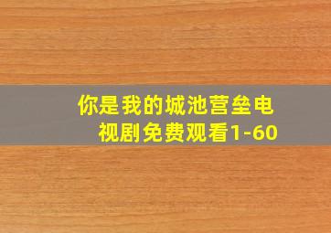 你是我的城池营垒电视剧免费观看1-60