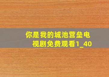 你是我的城池营垒电视剧免费观看1_40