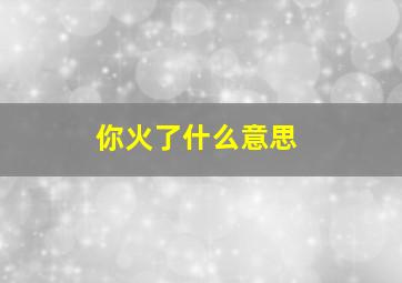 你火了什么意思