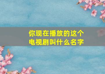 你现在播放的这个电视剧叫什么名字