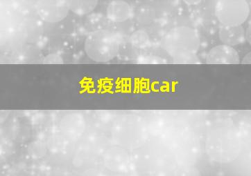 免疫细胞car