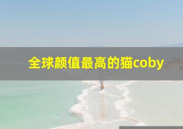 全球颜值最高的猫coby