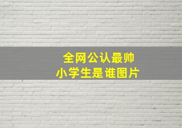 全网公认最帅小学生是谁图片